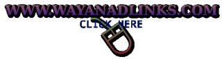 Wayanad is the place for you!