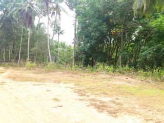 15 cent plot for sale near Kachani