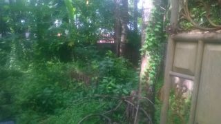 4cent Land & Plots in vellaeikdavu