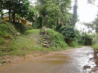 1.6 Acre Plot with 1650sqft Built area with Rubber and Coffee Plantation