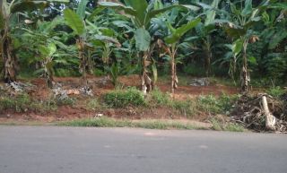 10 cent road frontage plot at kottarakar