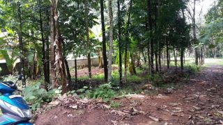House Plot-Kunnackal 2Km from NH-49 5.25 cents /1.4 per cent