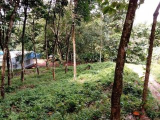 VC859, 30 cent land in Mulanthuruthy - Karickod .