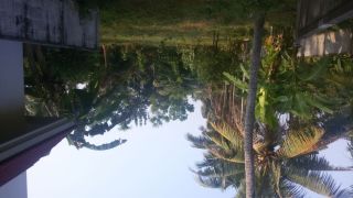 House plots at Chalakudy (300 mtrs from TRICHUR-COCHIN NH47 (Muringoor signal)