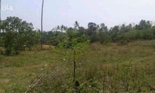 17 cents of plot in kottarakkara, kollam district