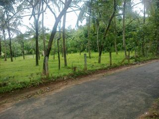 40 cent residential plot available at Valliyode Vadakkencherry