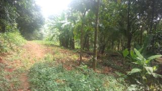 30 cent house plot In Karaparaparamba, Manjeri