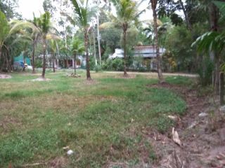 80 cents land @ Mavelikkara