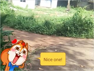 17 cents plaint land at puthenchira