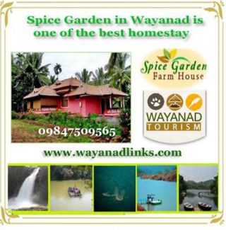 The land where beauty meets nature!!!..Wayanad