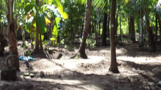 21 cent land in thalikulam ,thrissur