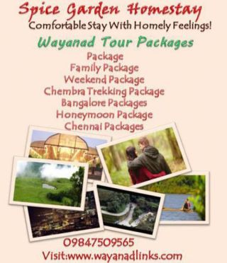 Spice Garden Homestay Comfortable Stay With Homely Feeling