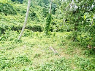 14 cents suitable for constructing house,Kilimanoor