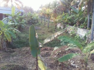 10 cents of land near road side Thanissery
