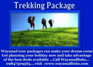Spice Garden Homestay the best homestay in Wayanad