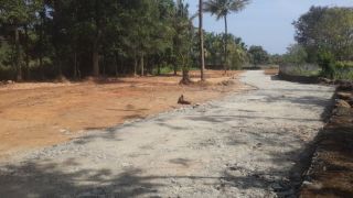 Residential land for sale in Gandhi Nagar, Cheroor