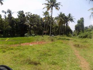 73 cents of land in Ithipuzha,Vaikom