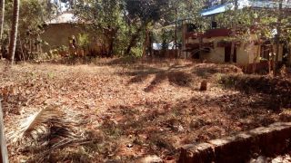 8cent,square plot,near chittilakkavu,puthenchanda,varkala.