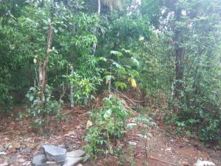 30 Cents Just 2 km from Manarcad Church