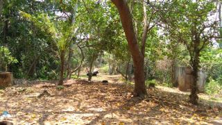 48 cent of land at Nedunganda, near varkala