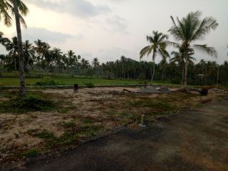 4,5 cents of house plotes in Thripunithura - Kureekad