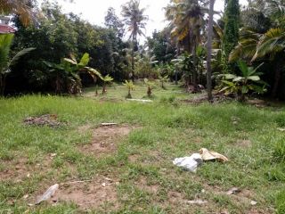 6.500 cents of land in vyttila