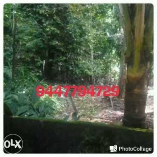 10 cent plot at samkranthy junction kottayam