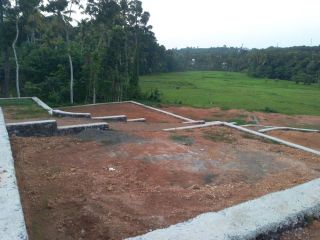 4,5,10 cents of house plots in Chottanikkara - Thalakkodu