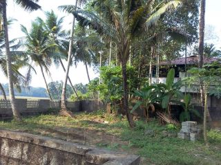 4.700 cents of land in Chottanikkara-Eruveli