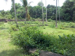 4,5,6,10 cent house plots in Mulanthuruthy-Amballur