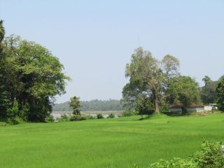 68 Cents River front Residential land Ottappalam