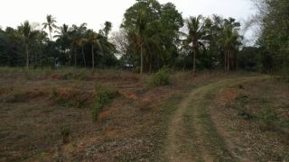 5.78 acres of land at Pattambi-Koppam