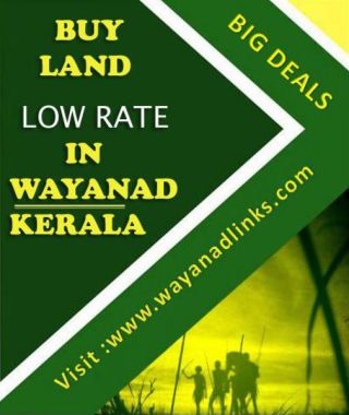 Mixed agricultural 80cent land at Poothadi,Wayanad-Wayanadlinks