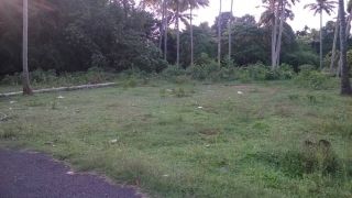 13.5 cents of land in Thirumoolapuram, TVLA  @3L per cent Negotiable