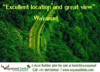 Rubber plot for sale at kenichira,wayanad-Wayanadlinks