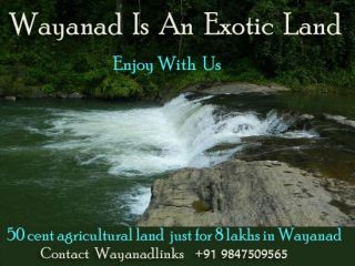 50 cent agricultural land just for 8 lakhs in Wayanad Wayanadlinks