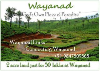 2 acre land just for 50Lakhs at Wayanad