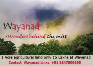 1 Acre agricultural land for sale at Kenichira Wayanad just 15 Lakhs