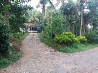 1.50 acer land+home and well going dairy farm.monthly 1.50 income