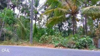 9 cents of land in Thodupuzha,Idukki