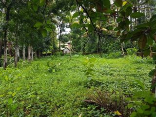 24.82cents(whole or plot) of land at kumaranalloor