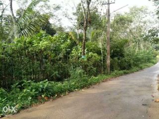100 cent land near munnar Kerala for sale