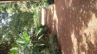 23 cent of land for urgent sale In Thiruvalla, , Pathanamthitta