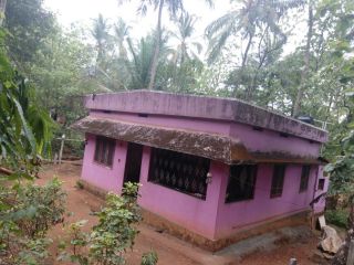 Mannarkkad. Kottoppadam RC House