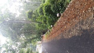 1.514 Hec agricultural land at Mevada for sale