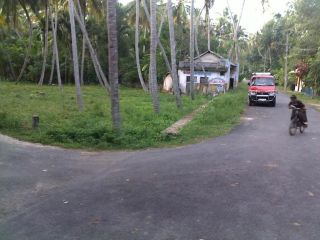 38cent 2plot(14&24)2 for sale atTrivandrum kaniyapuram-murkkupuzha and chirayinkeezhu road perungzhi