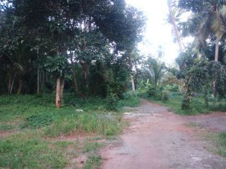 3.5Acres of commercial land besides Haripad Medical College