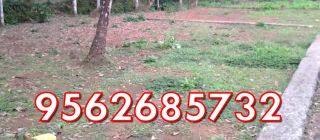 8 Cent for Sale in Karunagappally
