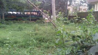 32+50 cent Good House plot with agricultural land for sale in Bharanicavu