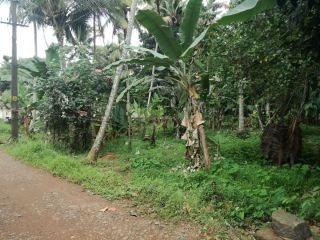 33 cents of land near kumarakom road, kottayam